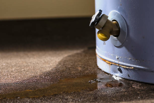 Best Water damage cleanup near me  in Goodview, MN