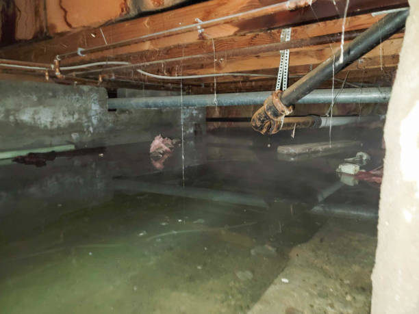  Goodview, MN Water damage restoration Pros