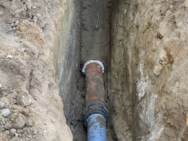 Best Flood restoration services  in Goodview, MN