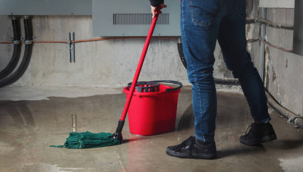 Best Ceiling water damage repair  in Goodview, MN
