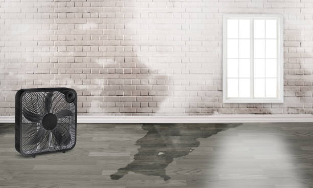  Goodview, MN Water damage restoration Pros