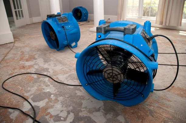 Best Water damage contractors near me  in Goodview, MN