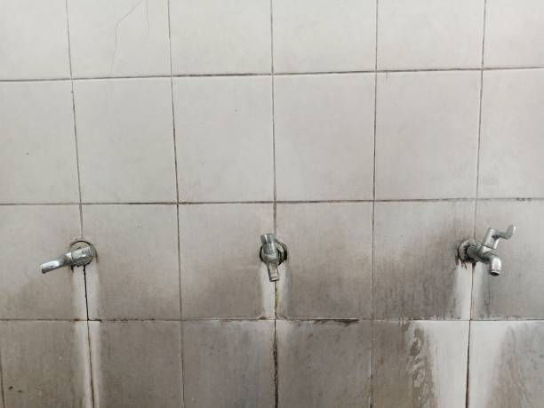 Best 24-hour water damage restoration  in Goodview, MN