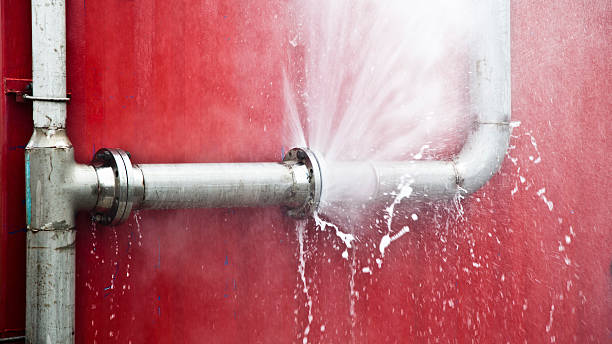 Best Flood damage cleanup  in Goodview, MN